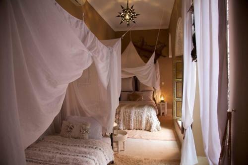 Bed & Breakfast The Bohemian Jungle