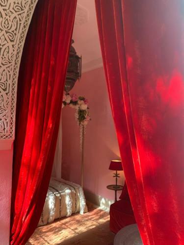 Bed & Breakfast The Bohemian Jungle