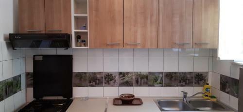 Apartmani Ante
