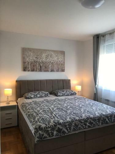 Luna Apartments, Apartments With Style