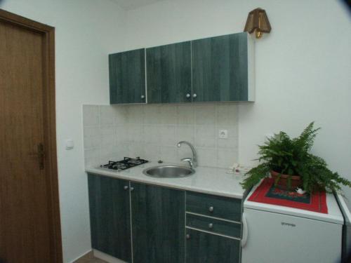 Apartments With A Parking Space Rovinj - 2243