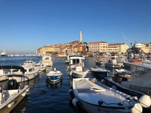 Apartamento Casa Alexa