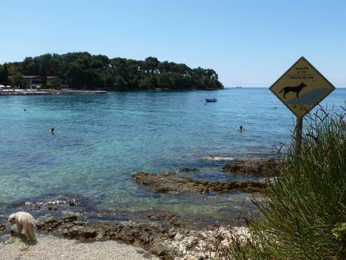 Apartments Samsa - Borik