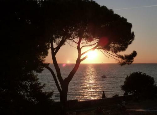 Apartments Samsa - Borik