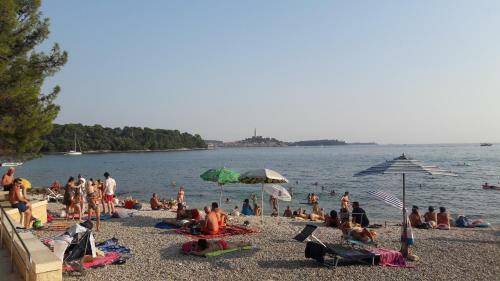 Apartments Samsa - Borik