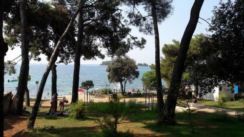 Apartments Samsa - Borik