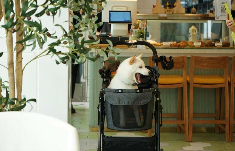 Hotel Shama Yen-akat Bangkok - Sha Extra Plus