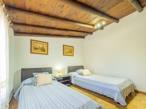 Cubo's La Casa Del Arbol