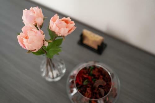 Studio 24 - Holiday & Business Apartment
