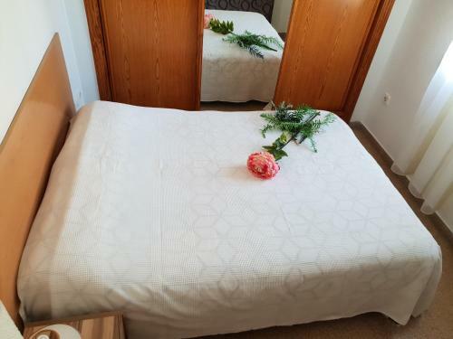 Apartamento Holiday Home Salinas 7