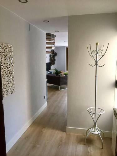 Modern Apartments In City Center