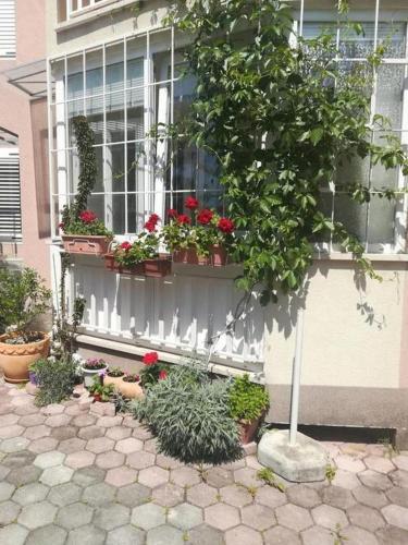 Apartments With A Parking Space Makarska - 18063