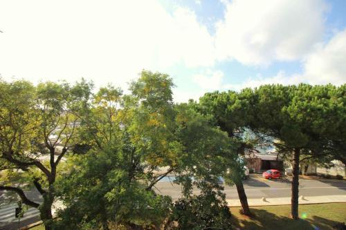 Apartment In Porec/istrien 38642