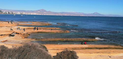 Apartamento Piso Casco Hist�rico Alicante