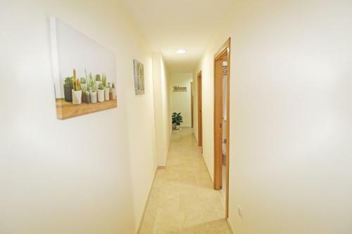 Apartamento S�per C�ntrico, Luminoso, Amplio, Terrazas Y Patio