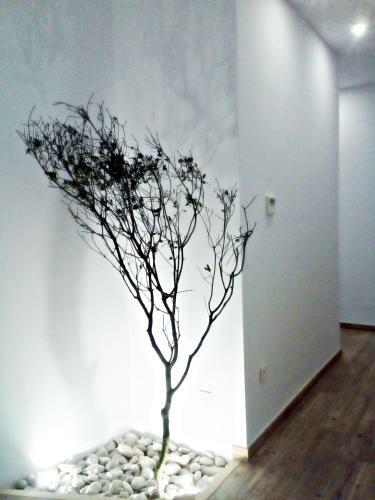 Apartamento Sunny Stay Guest Houses