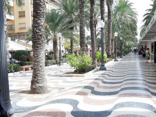 Apartamento Grande-centro Barrio Playa