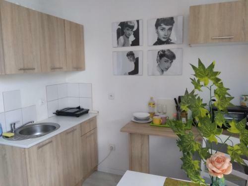 Apartament Jasny Noclegi P?ock