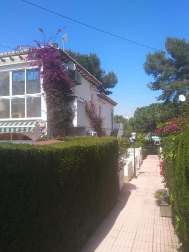 Apartamento Lago Jard�n 167