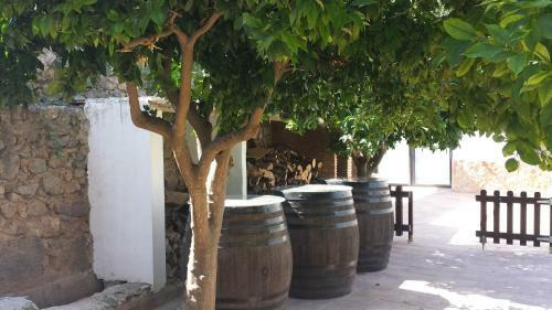 Agroturismo Cortijo Andaluz Do�a Adela