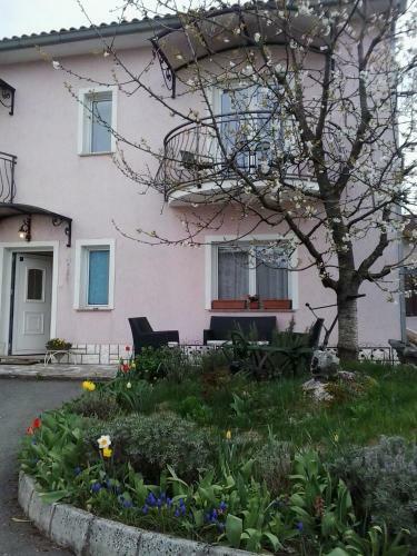 Hostal Guest House Surina