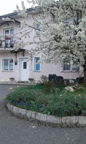 Hostal Guest House Surina
