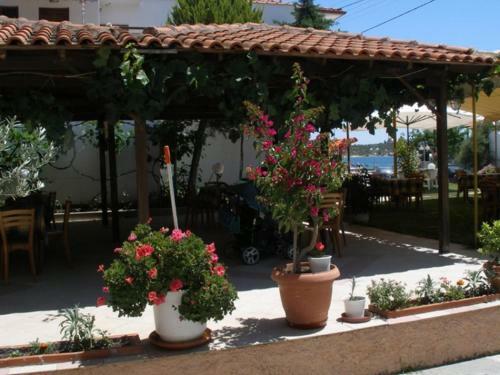Hotel Alexandros