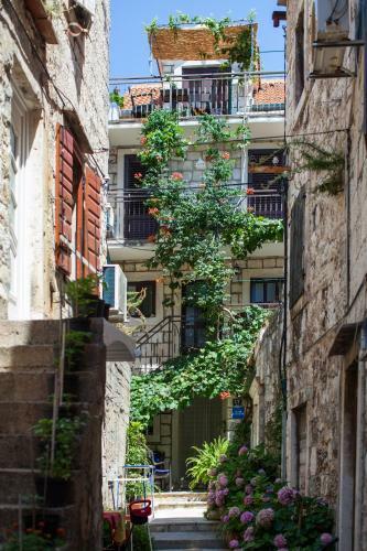 Apartments Villa Anka