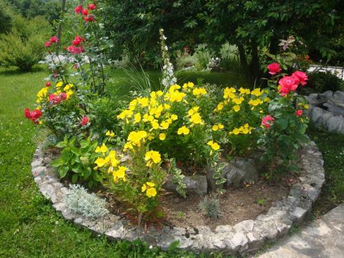 Hostal Guest House Jandric