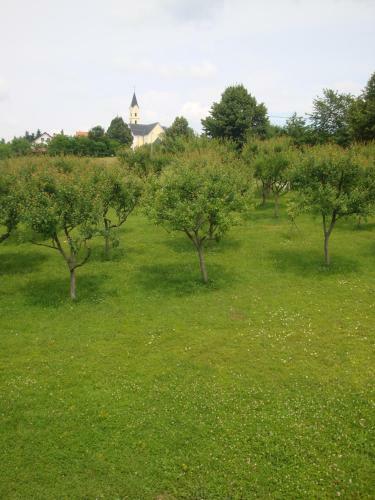 Hostal Guest House Jandric