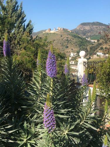 Bed & Breakfast La Barranca De La Barca