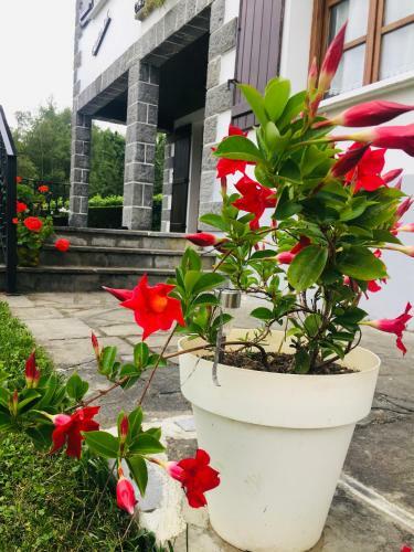 Agroturismo Ekialde Rural