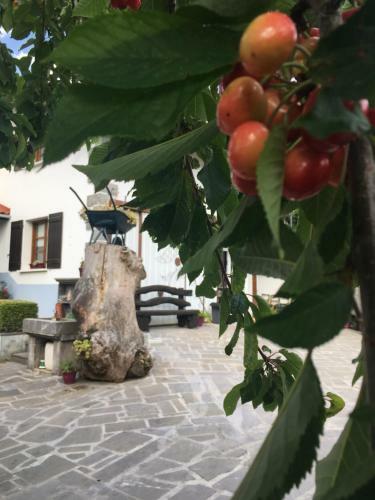 Agroturismo Ekialde Rural