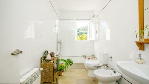 Apartamento Casanova Del Monjo