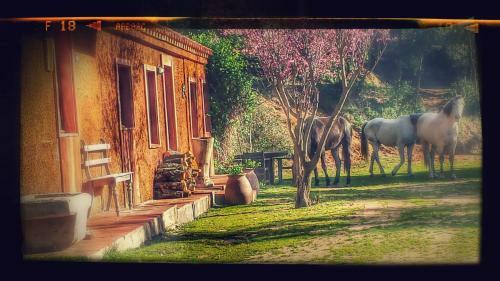 Agroturismo El Solei Paraiso En El Montseny