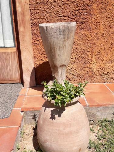 Agroturismo El Solei Paraiso En El Montseny
