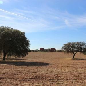 Agroturismo Los Mentideros