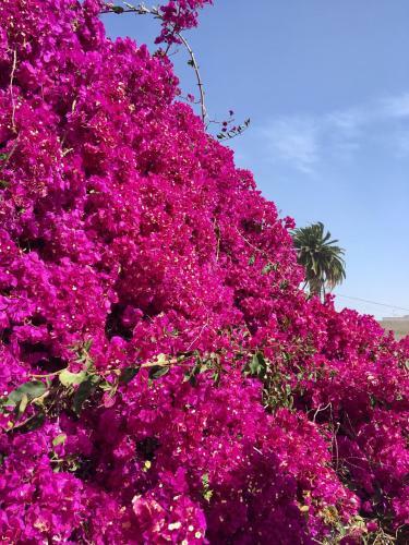 Residence Nuevo Horizonte