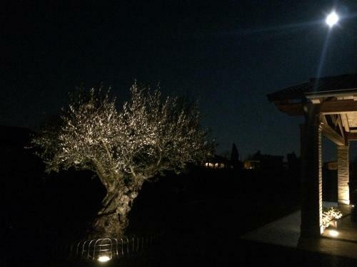 Bed & Breakfast Villarosa