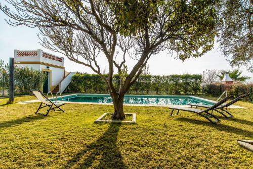 Vivienda Rural Olivar De San Telmo