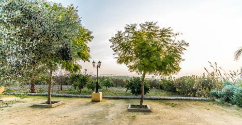 Vivienda Rural Olivar De San Telmo