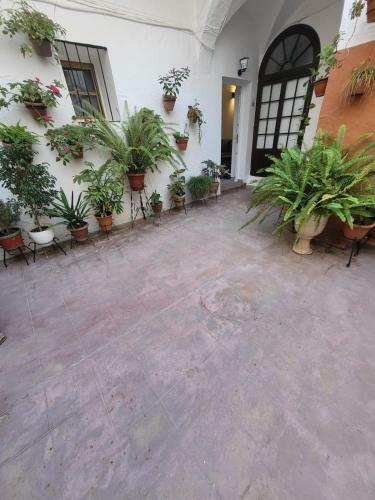 Apartamento Casa Cuna