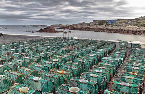 Apartamento Os Faros Pisos Tur�sticos