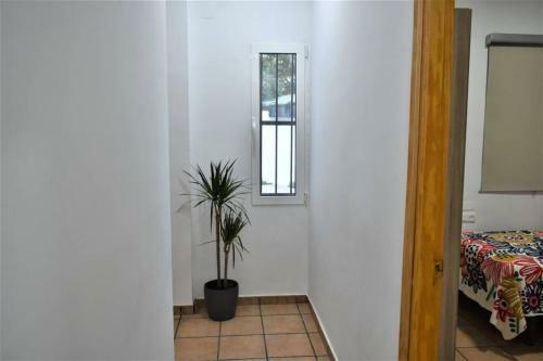 Agroturismo Alegr�a Casa Rural El Romeral