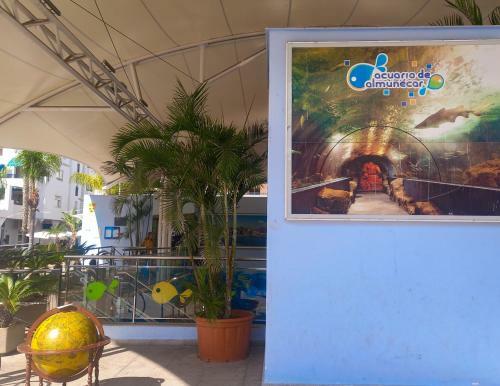 Apartamento Hibisco , Primera L�nea De Playa