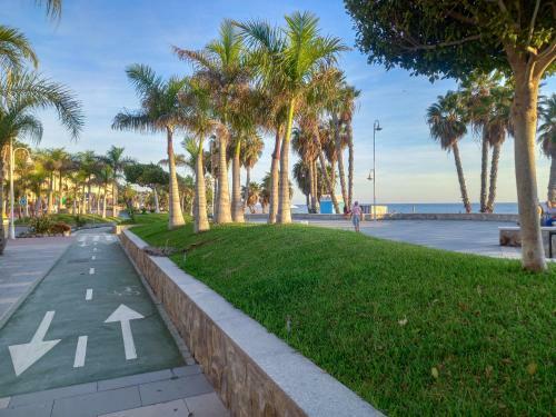 Apartamento Hibisco , Primera L�nea De Playa