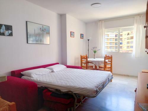 Apartamento Hibisco , Primera L�nea De Playa
