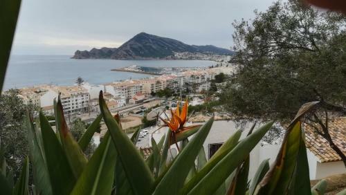 Casa Roberto Altea