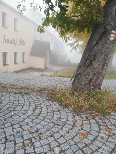 Hostal Penzion Svat� Petr