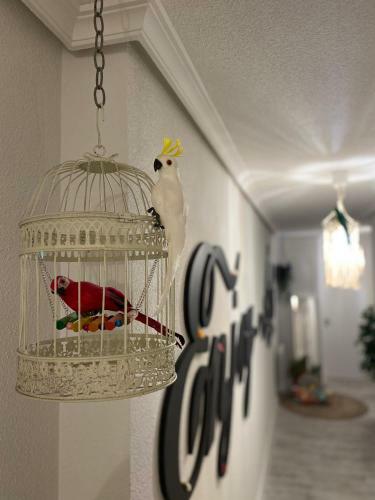 Apartamento Enjoy Avila